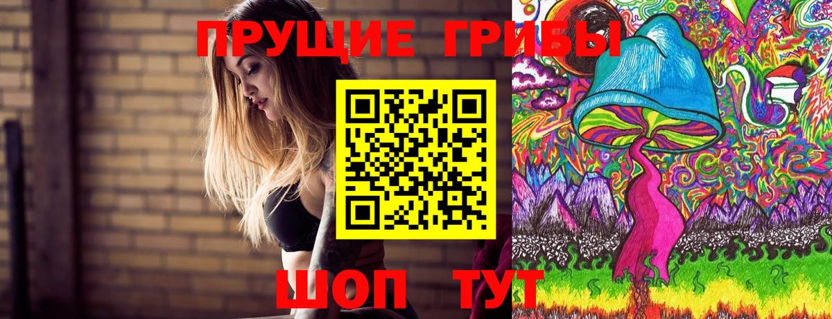 Галлюциногенные грибы Psilocybe  Вход с VPN  Галлюциногенные грибы Psilocybine cubensis  Сальск 